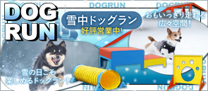 ドッグラン