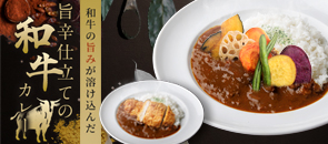 旨辛仕立ての和牛カレー